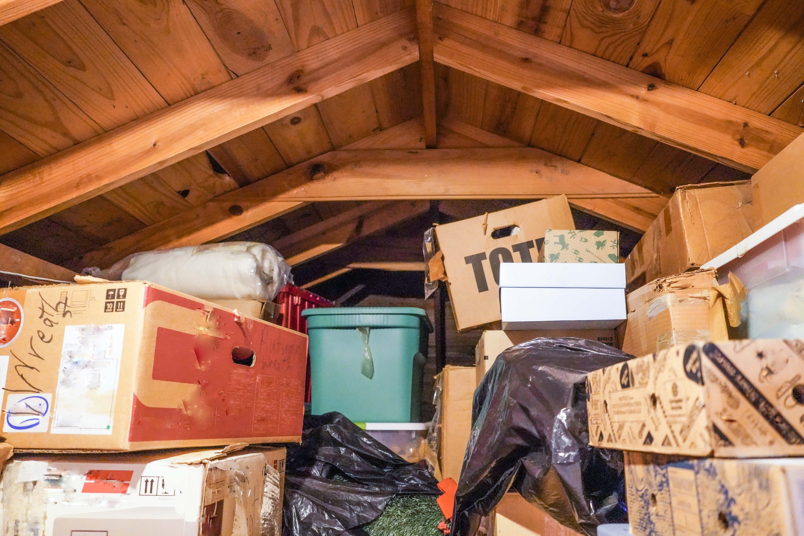 Call a professional hoarding cleaner in Ottawa for Safe cleanup services
