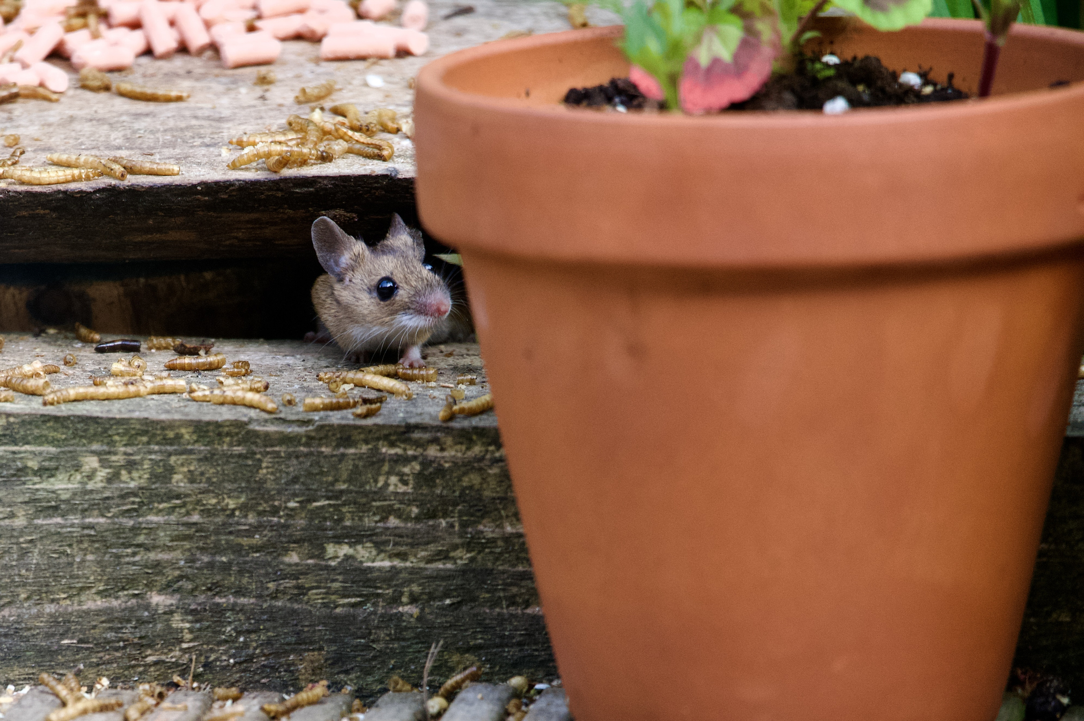 Biohazard cleaning services in Ottawa, Kingston, and Smiths Falls,